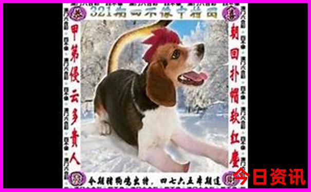 长春旅游攻略三日游最佳路线